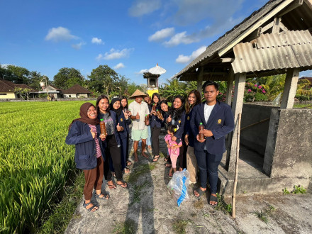 Kegiatan Pemberian Pupuk POC KKN Unud XXVII Kaba